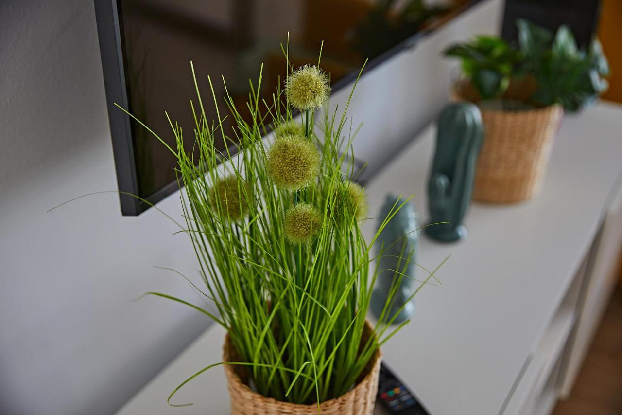 Cactus Sombrerudo- Bright Apartment Next To Yumbo 마스팔로마스 외부 사진